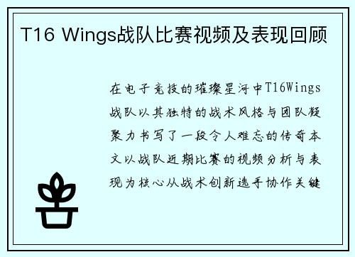 T16 Wings战队比赛视频及表现回顾